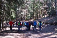 Monte cucuzzo  Aprile 2018 (5)